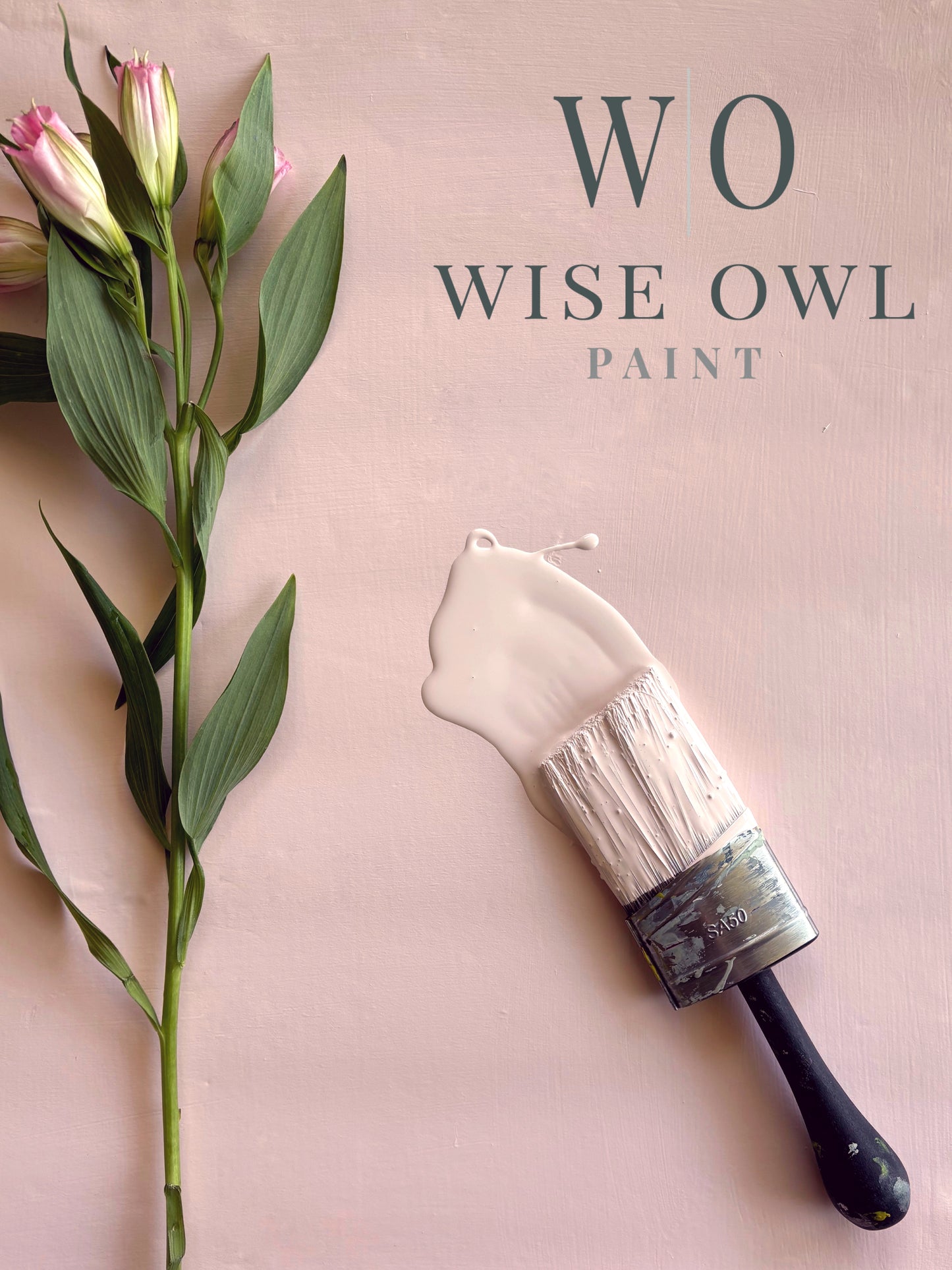 Wise Owl Chalk Synthesis Paint - Daydream | Eco-Friendly, Matte Finish, Furniture & DIY Paint