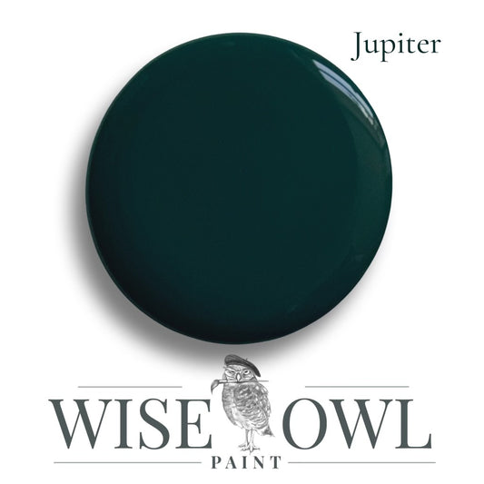 Wise Owl Chalk Synthesis Paint - Jupiter