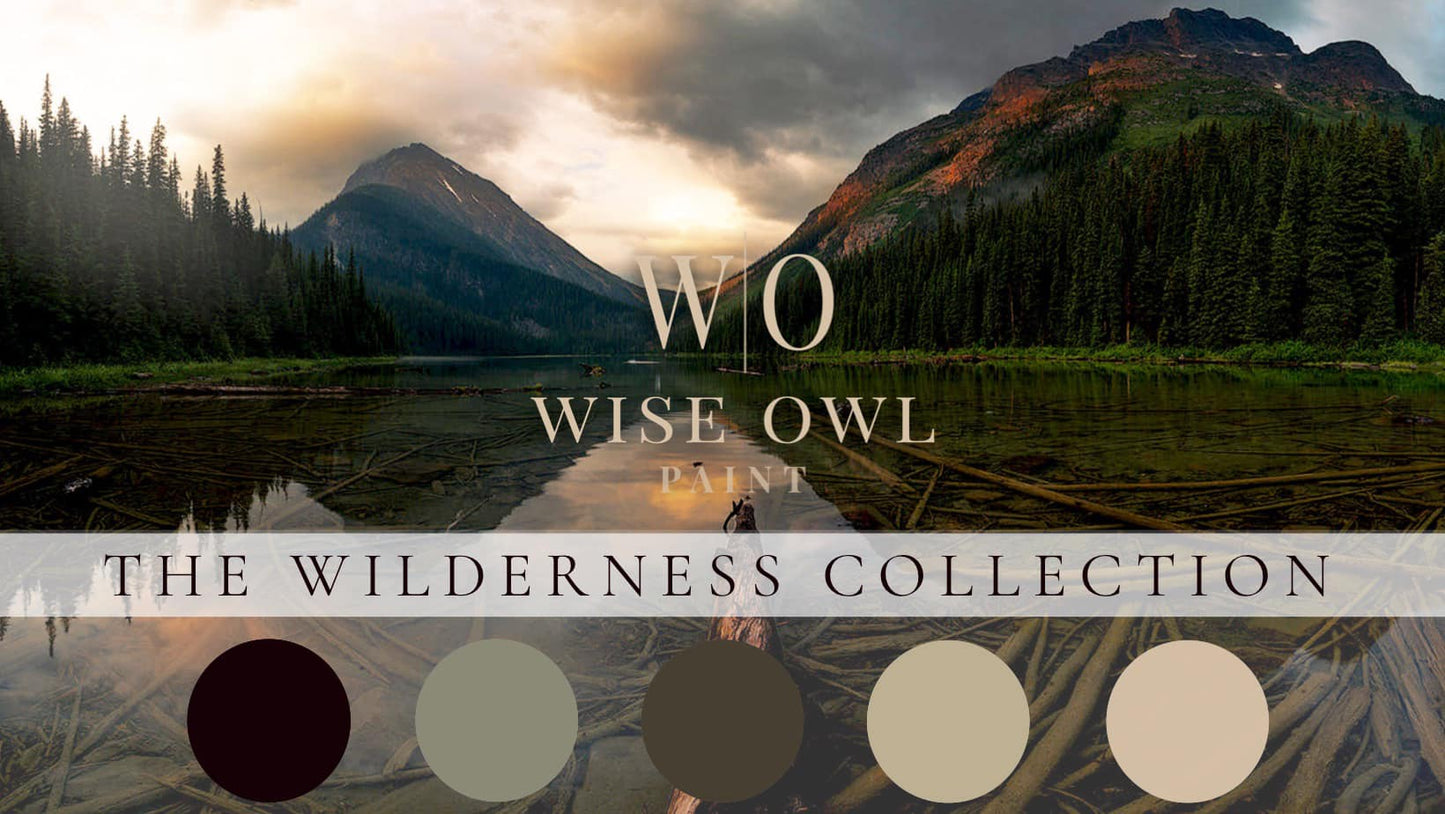 Wise Owl One Hour Enamel - Dark Mahogany